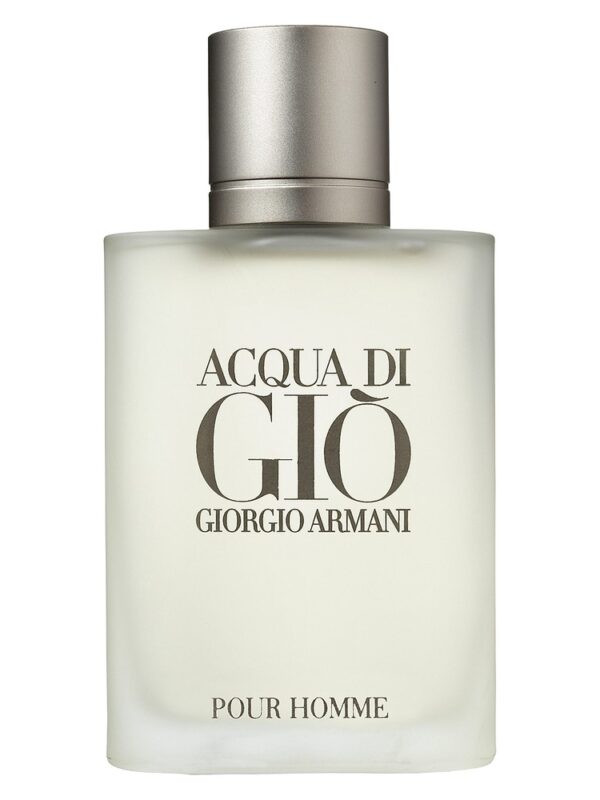 Giorgio Armani Acqua Di Gio 100 ml EDT Spray
